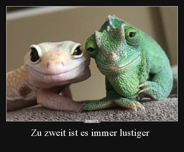 Zu zweit ist es immer lustiger.. - Lustige Bilder | DEBESTE.de