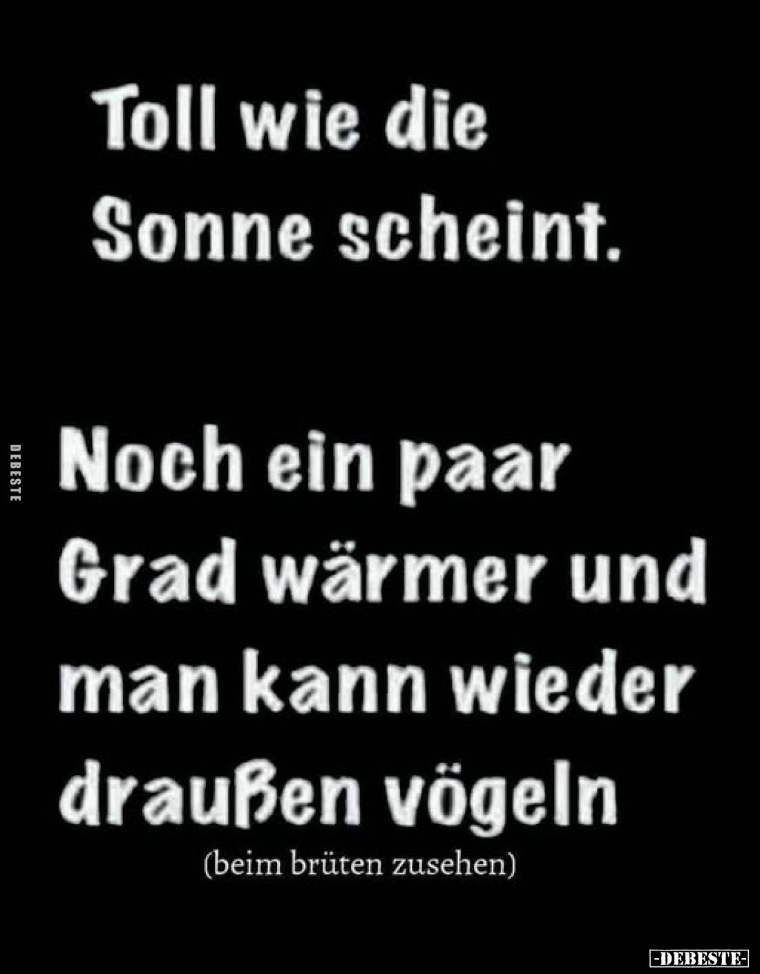 Toll wie die Sonne scheint. Noch ein paar Grad wärmer und man kann wieder draußen vögeln (beim brüten zusehen)