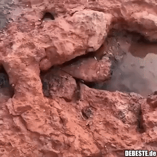 Pssst. Hey you, hey...