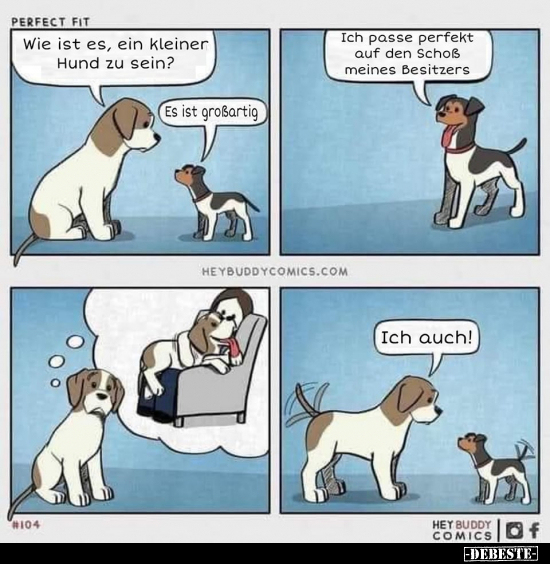 Wie ist es, ein kleiner Hund zu sein?.. - Lustige Bilder | DEBESTE.de