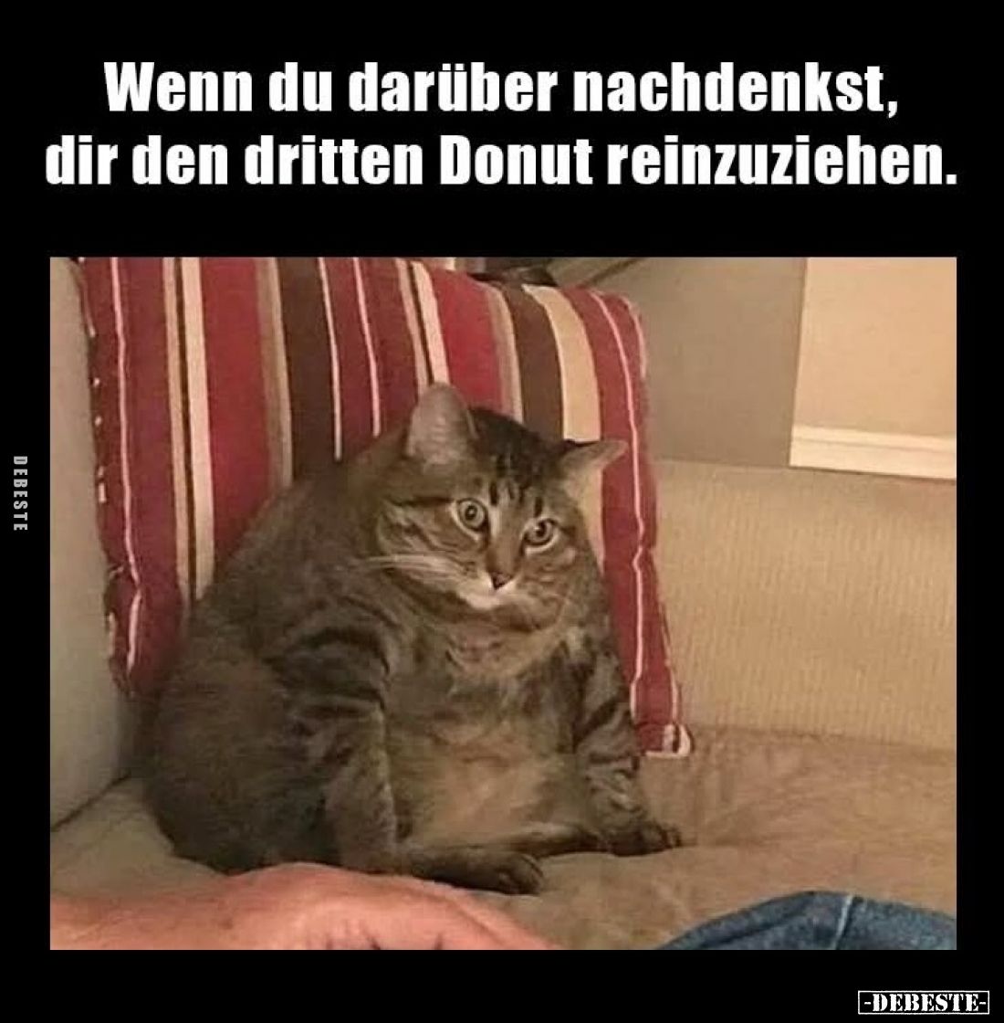 Wenn du darüber nachdenkst, dir den dritten Donut reinzuziehen.