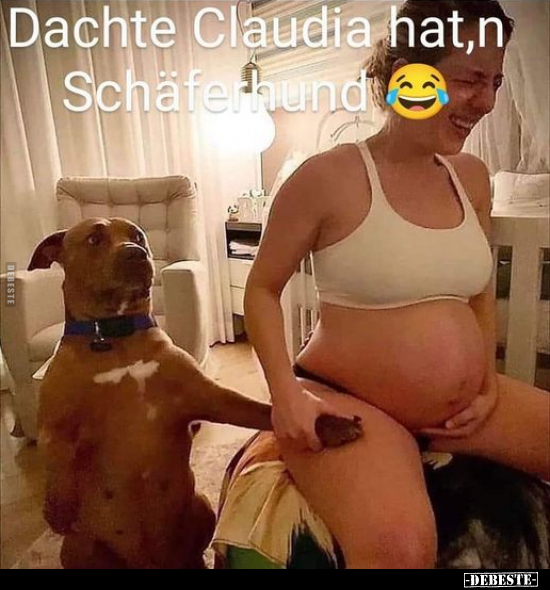 Dachte Claudia hat, n Schäferhund.. - Lustige Bilder | DEBESTE.de
