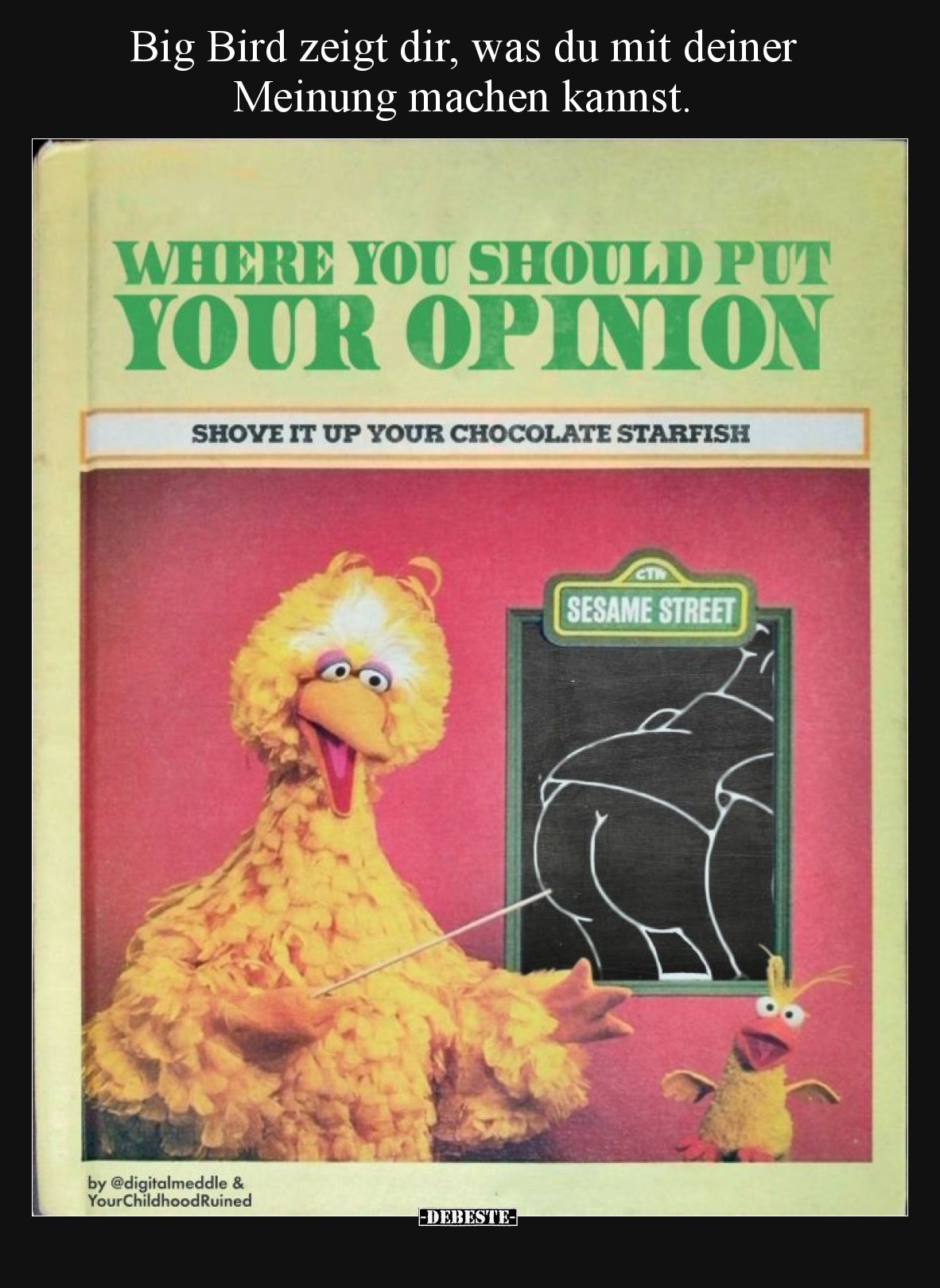 Big Bird zeigt dir, was du mit deiner Meinung machen kannst.