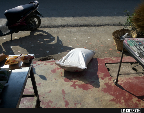 Endlich erwischt: Der berühmte umgefallene Sack Reis! - Lustige Bilder | DEBESTE.de