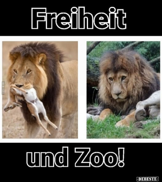 Freiheit und Zoo... - Lustige Bilder | DEBESTE.de