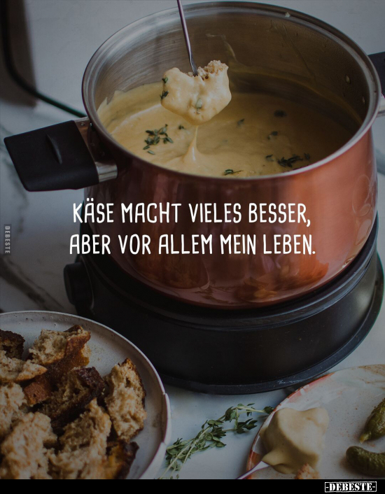 Lustige Bilder zum Thema: Käse, Leben