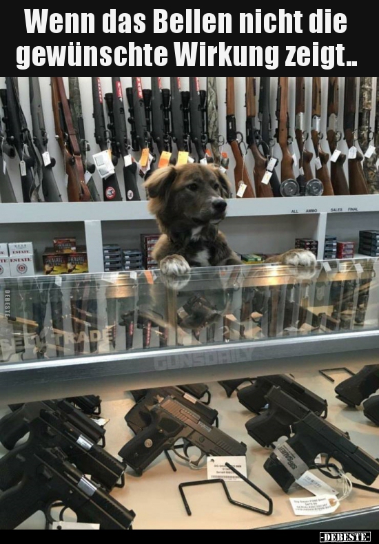 Wenn das Bellen nicht die gewünschte Wirkung zeigt..