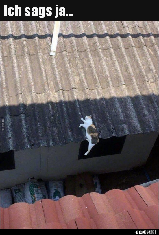 Ich sags ja...