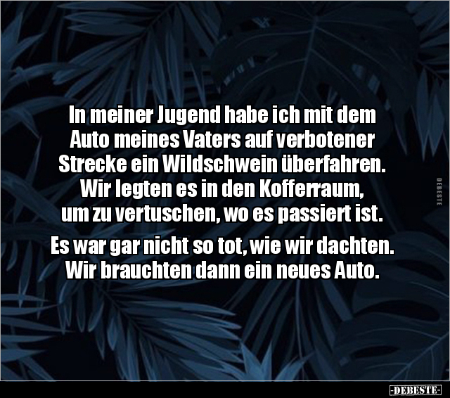 In meiner Jugend habe ich mit dem Auto meines Vaters auf.. - Lustige Bilder | DEBESTE.de
