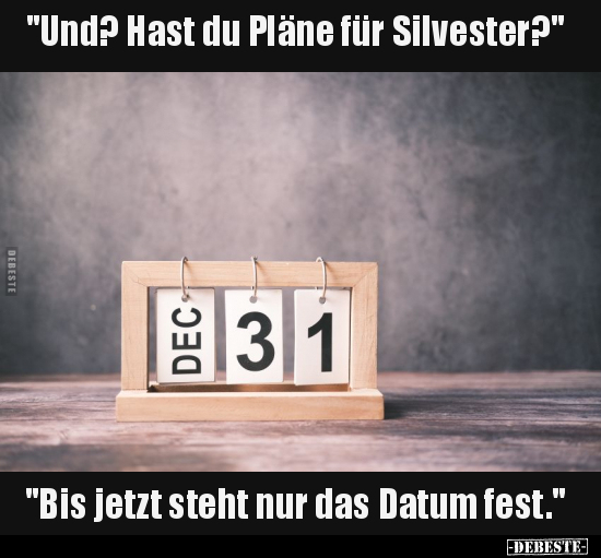 "Und? Hast du Pläne für Silvester?" "Bis jetzt steht nur.. - Lustige Bilder | DEBESTE.de