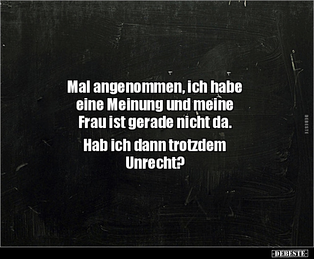 Mal angenommen, ich habe eine Meinung und meine.. - Lustige Bilder | DEBESTE.de