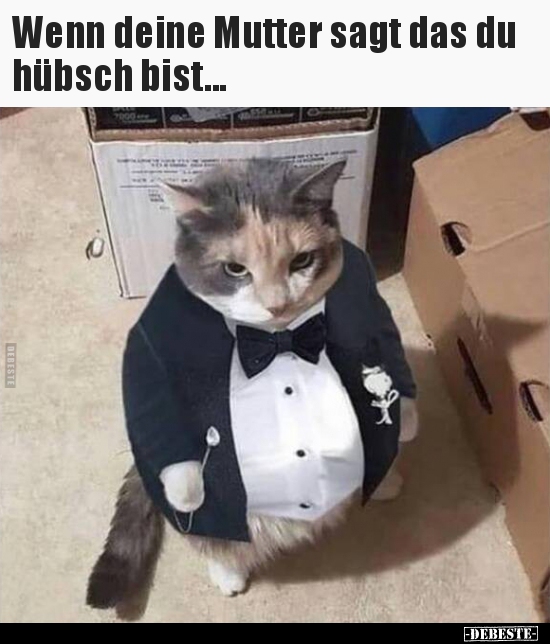 Wenn deine Mutter sagt das du hübsch bist...