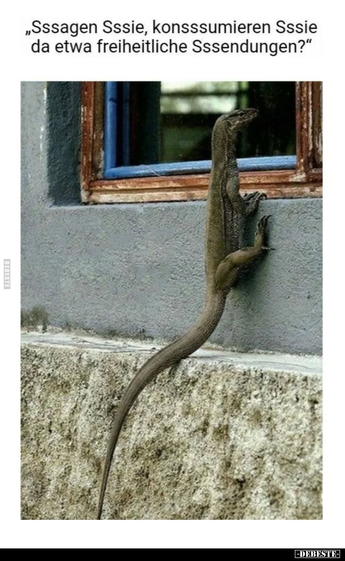 Sssagen Sssie, konsssumieren Sssie da etwa freiheitliche Sssendungen?