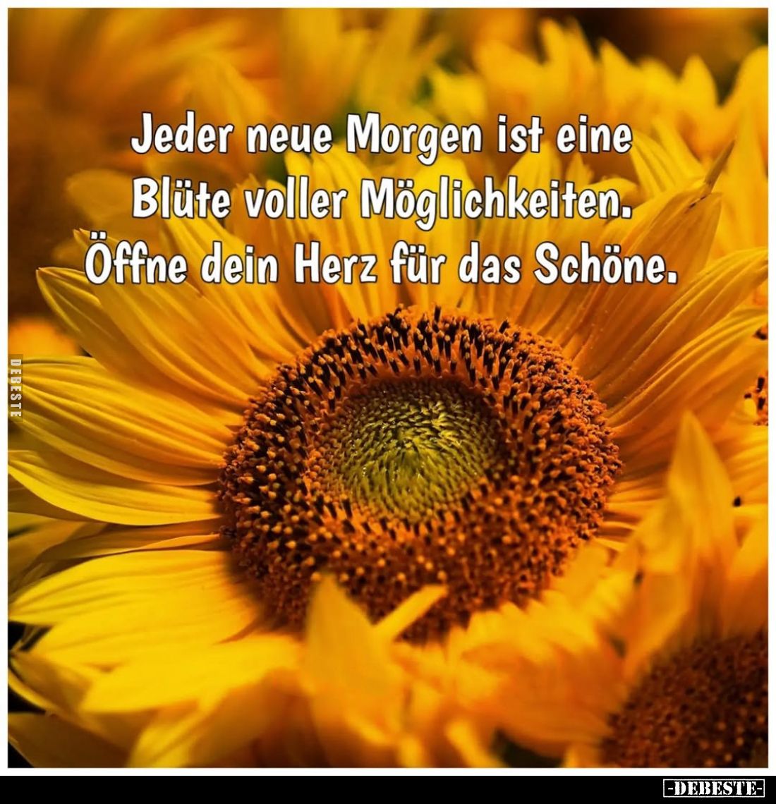 Jeder neue Morgen ist eine Blüte voller Möglichkeiten.
Öffne dein Herz für das Schöne.