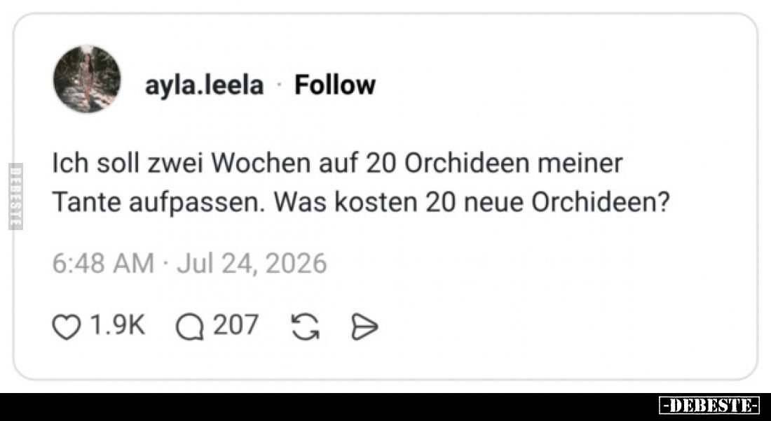 Ich soll zwei Wochen auf 20 Orchideen meiner Tante aufpassen. Was kosten 20 neue Orchideen?