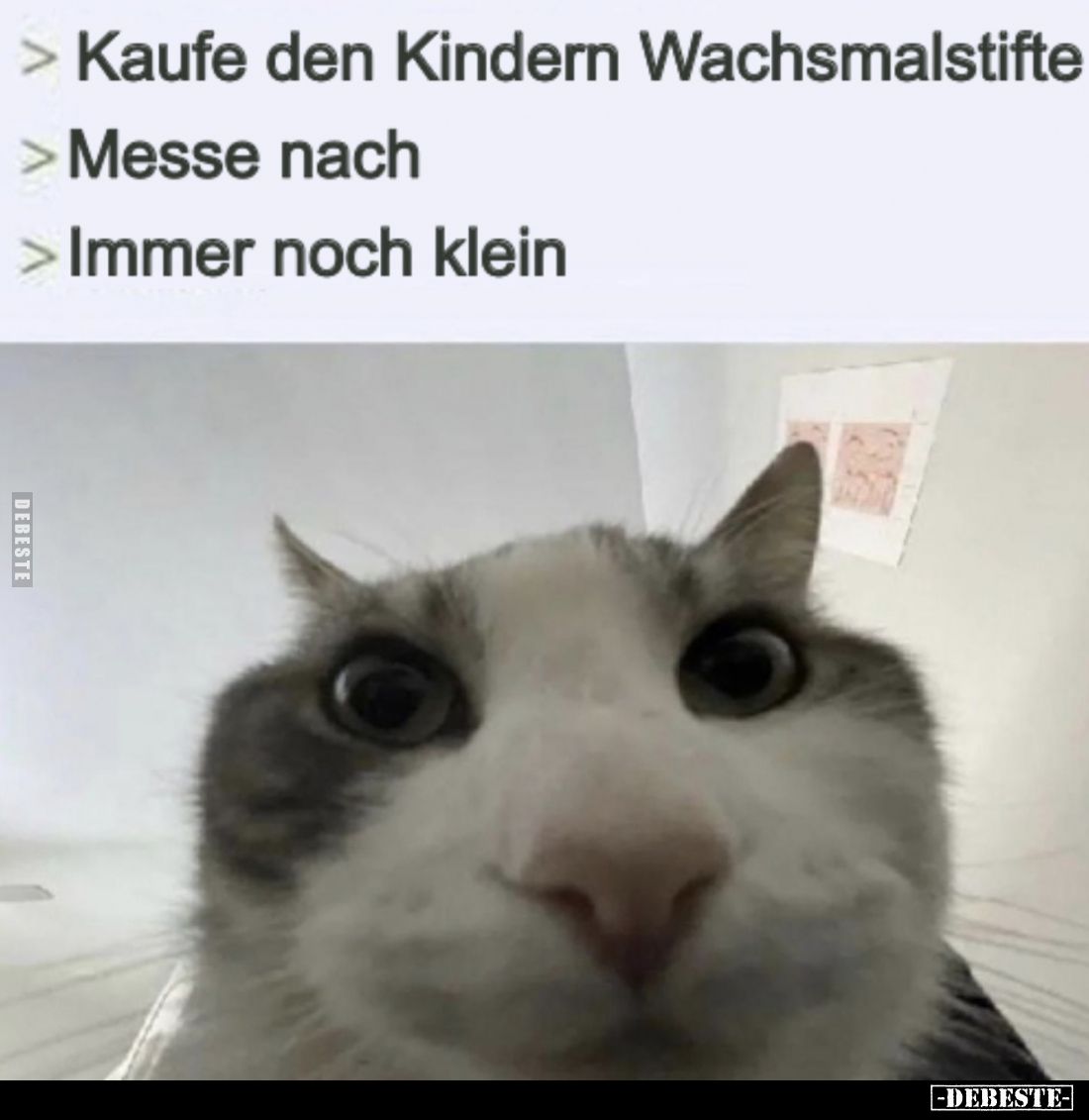 Kaufe den Kindern Wachsmalstifte -
Messe nach -
Immer noch klein