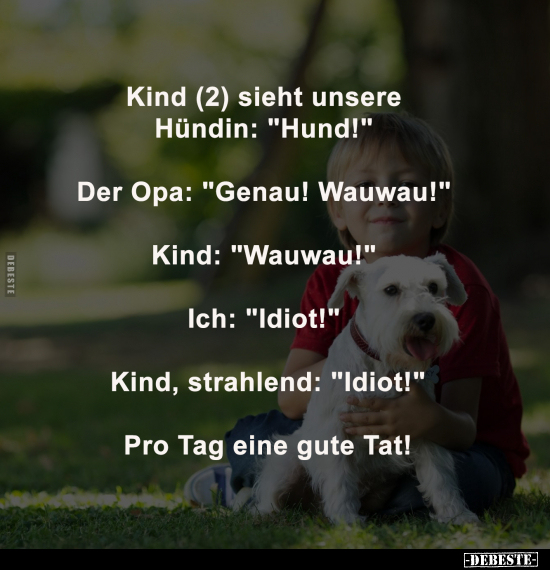 Hund, Eier