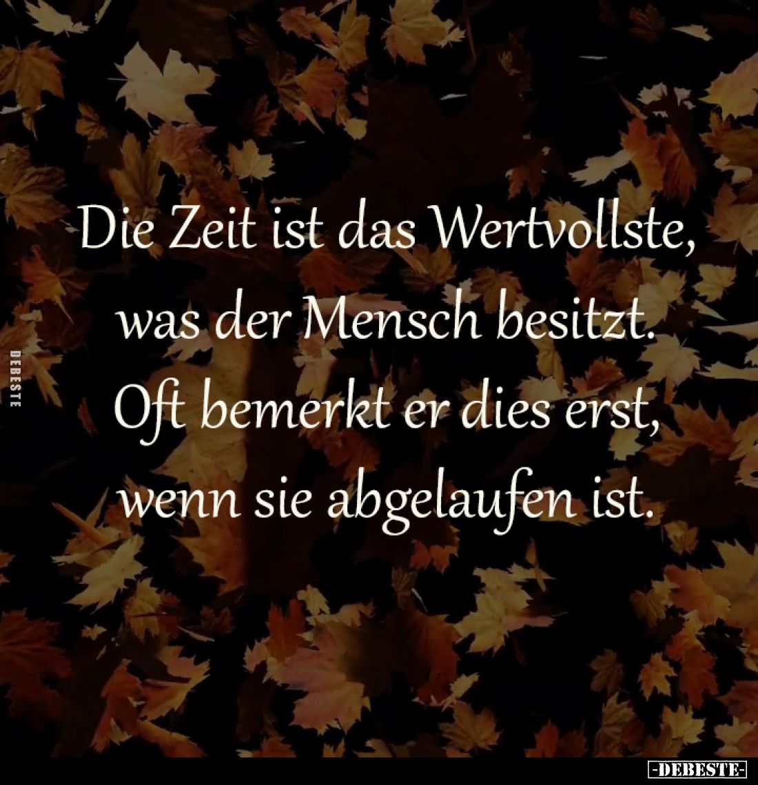 Die Zeit ist das Wertvollste,
was der Mensch besitzt.
Oft bemerkt er dies erst,
wenn sie abgelaufen ist.