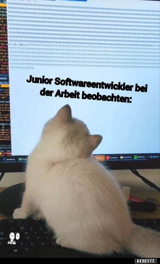 Junior Softwareentwickler bei der Arbeit beobachten.. - Lustige Bilder | DEBESTE.de