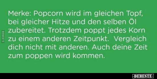 Merke: Popcorn wird im gleichen Topf, bei gleicher Hitze.. - Lustige Bilder | DEBESTE.de