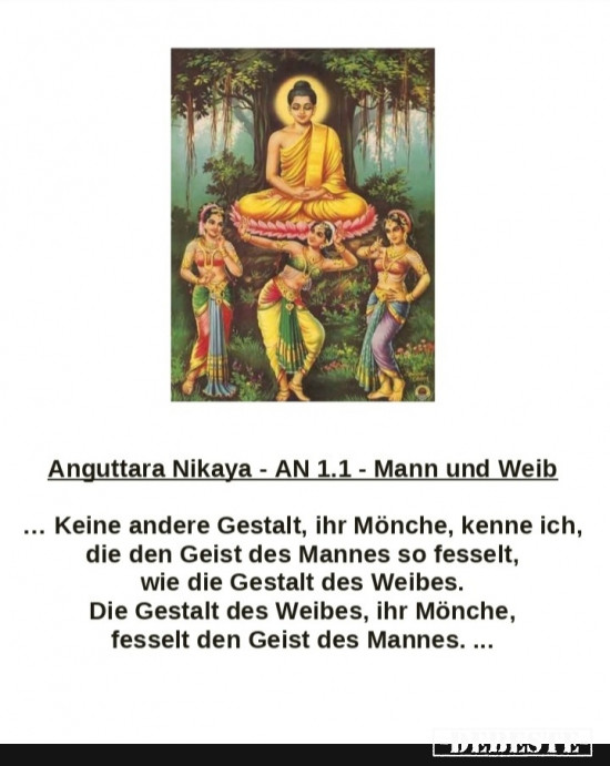 AN 1.1 - Mann und Weib - Lustige Bilder | DEBESTE.de
