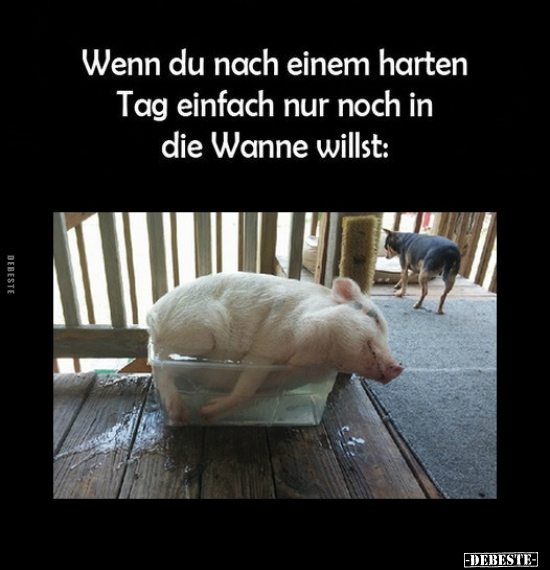 Wenn du nach einem harten Tag einfach nur noch in die Wanne.. - Lustige Bilder | DEBESTE.de