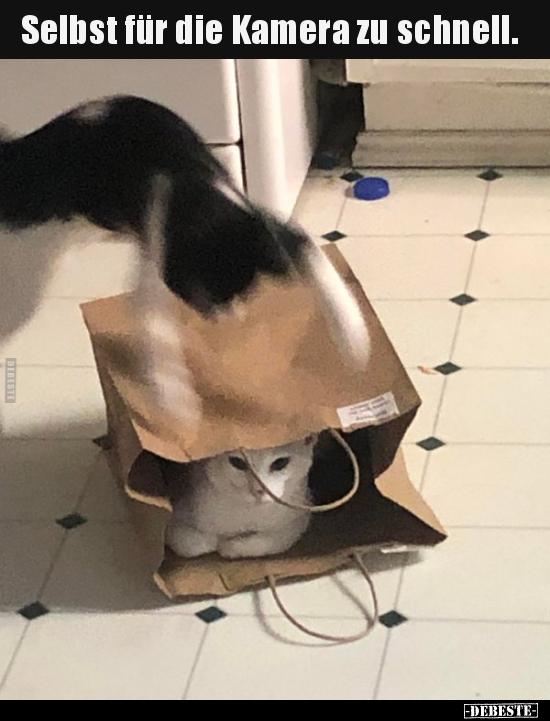 Selbst für die Kamera zu schnell...