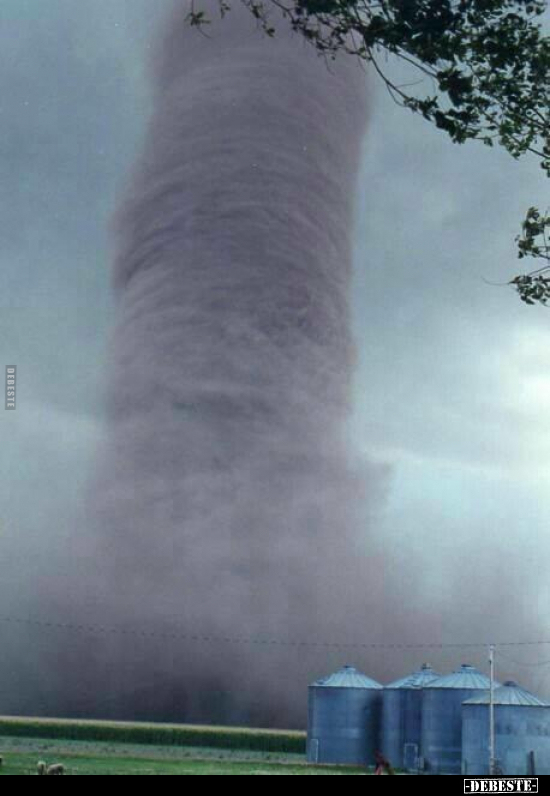  - Lustige Bilder | DEBESTE.de