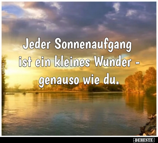 Wunder