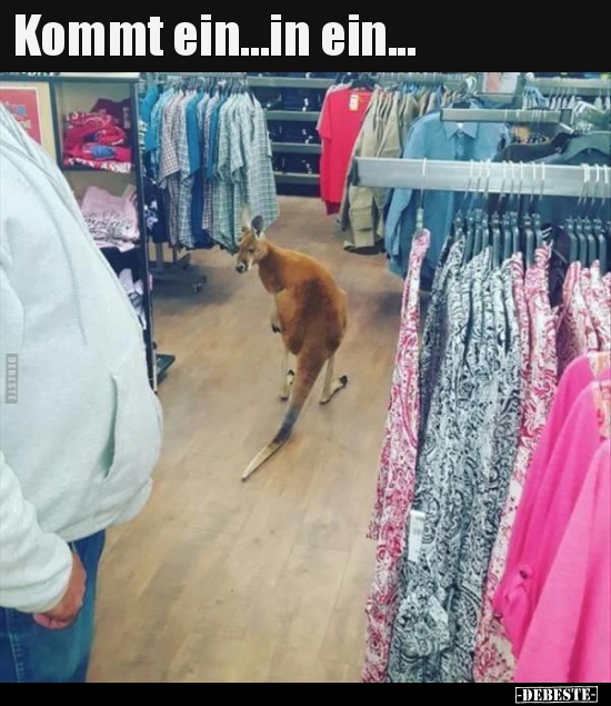 Kommt ein...in ein...