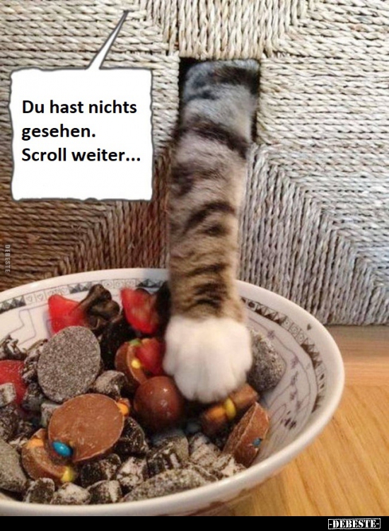 Du hast nichts gesehen. Scroll weiter...