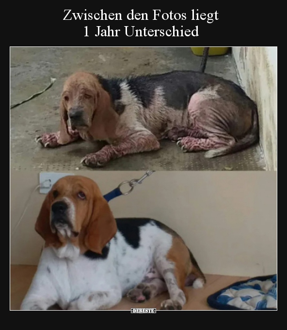 Zwischen den Fotos liegt 1 Jahr Unterschied..