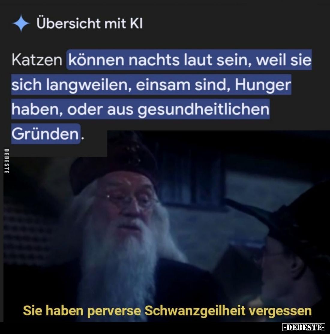 Katzen können nachts laut sein, weil sie sich langweilen, einsam sind, Hunger haben, oder aus gesundheitlichen Gründen.