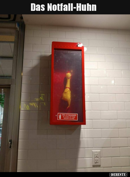 Das Notfall-Huhn.. - Lustige Bilder | DEBESTE.de