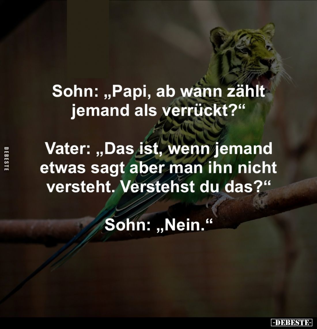 Sohn: „Papi, ab wann zählt jemand als verrückt?"
Vater: „Das ist, wenn jemand etwas sagt aber man ihn nicht versteht. V...