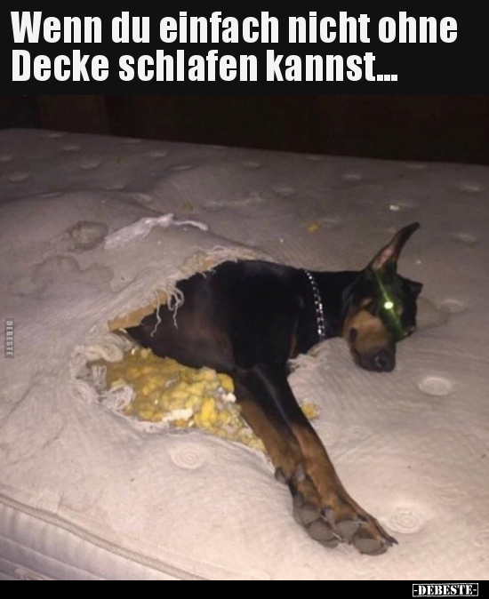 Wenn du einfach nicht ohne Decke schlafen kannst... - Lustige Bilder | DEBESTE.de