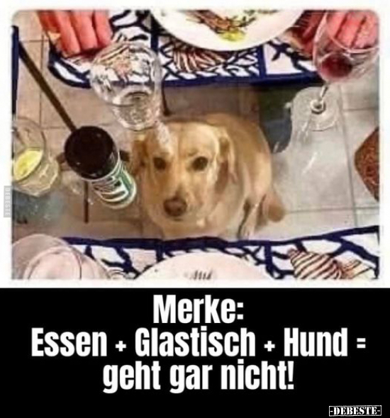 Merke: Essen + Glastisch + Hund = geht gar nicht!.. - Lustige Bilder | DEBESTE.de