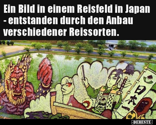 Ein Bild in einem Reisfeld in Japan - entstanden durch den.. - Lustige Bilder | DEBESTE.de