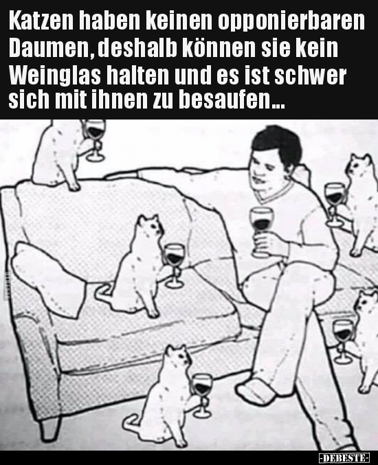 Katzen haben keinen opponierbaren Daumen, deshalb können.. - Lustige Bilder | DEBESTE.de
