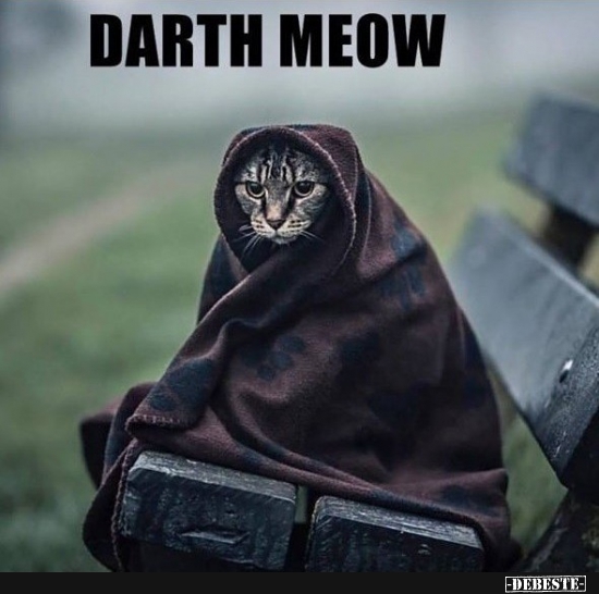 Darth Meow - Lustige Bilder | DEBESTE.de
