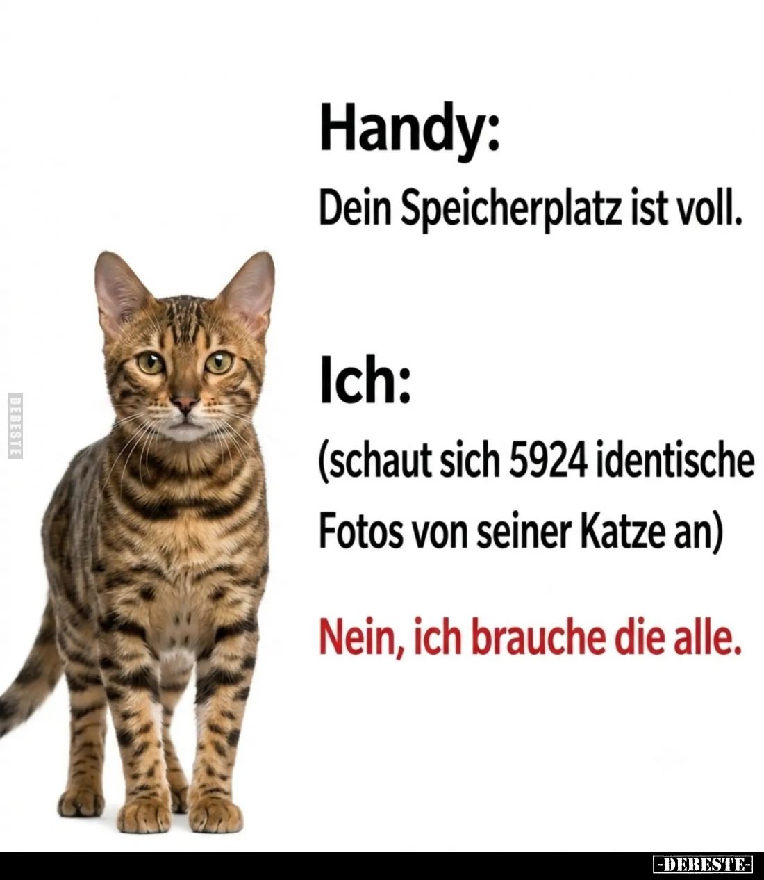Handy:
Dein Speicherplatz ist voll.
Ich:
(schaut sich 5924 identische Fotos von seiner Katze an)
Nein, ich brauche die al...