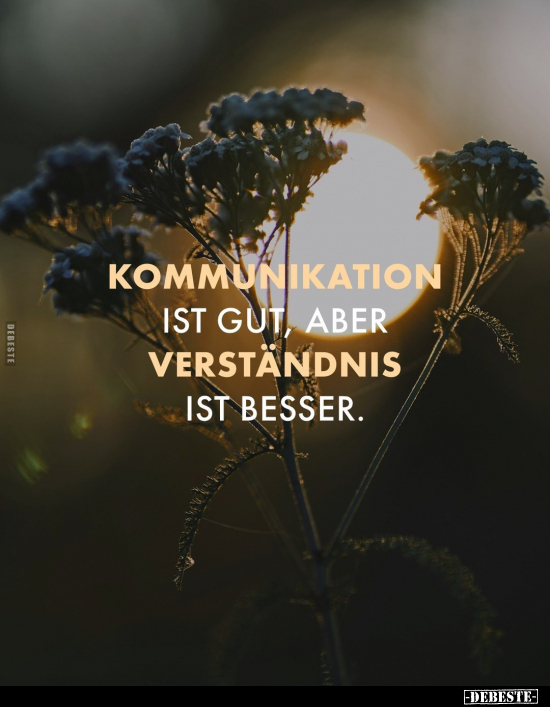 Kommunikation ist gut, aber Verständnis ist besser.. - Lustige Bilder | DEBESTE.de