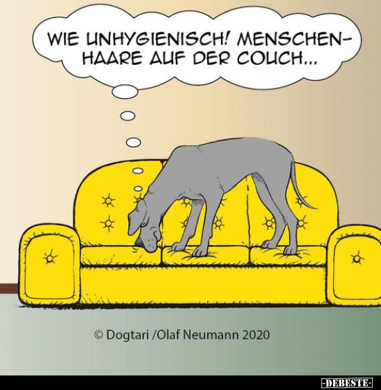 Wie unhygienisch! Menschen Haare auf der Couch... - Lustige Bilder | DEBESTE.de