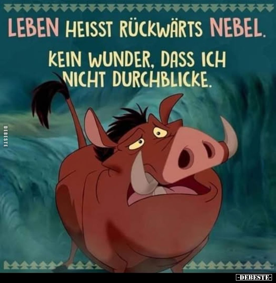 Leben heisst rückwärts Nebel.
Kein Wunder, dass ich nicht durchblicke.