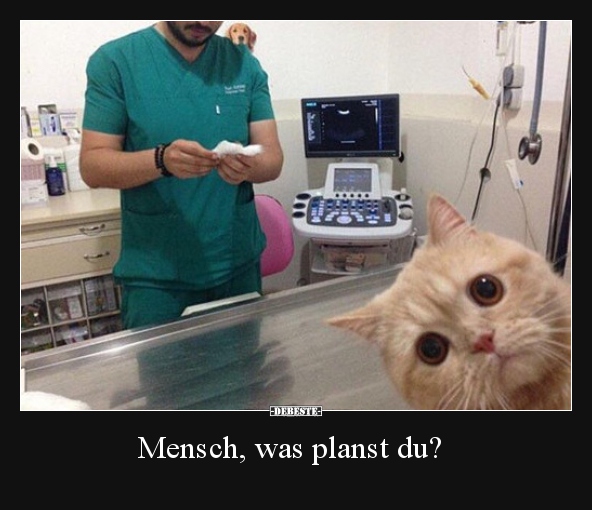 Mensch, was planst du?