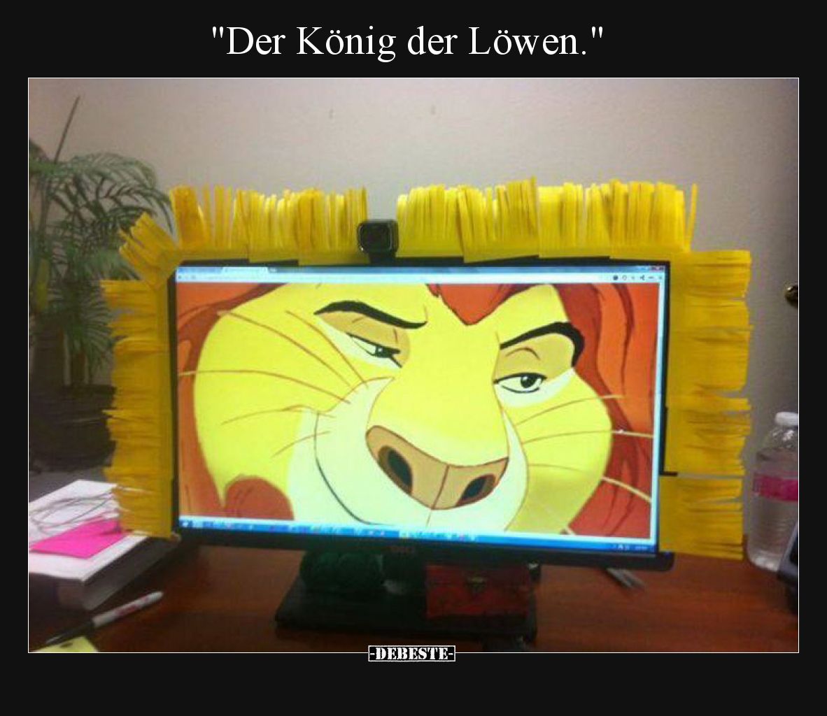 "Der König der Löwen.".. - Lustige Bilder | DEBESTE.de