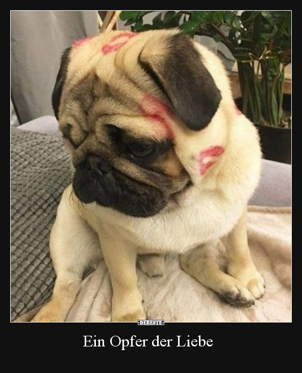 Ein Opfer der Liebe..