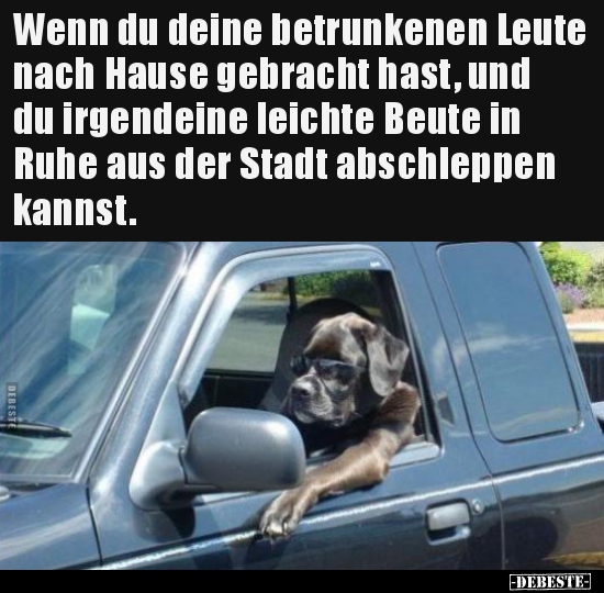 Wenn du deine betrunkenen Leute nach Hause gebracht hast.. - Lustige Bilder | DEBESTE.de