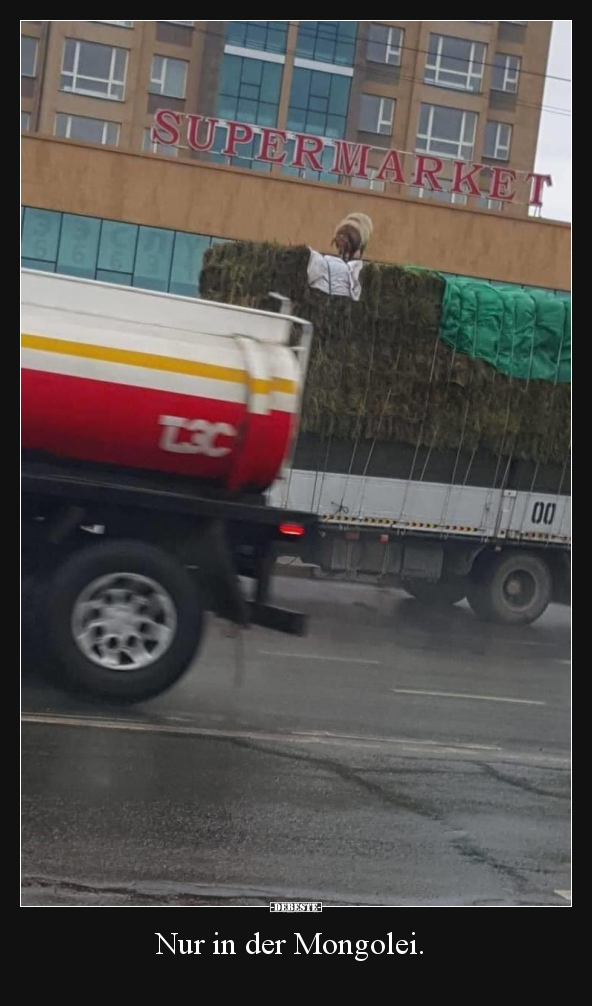 Nur in der Mongolei...