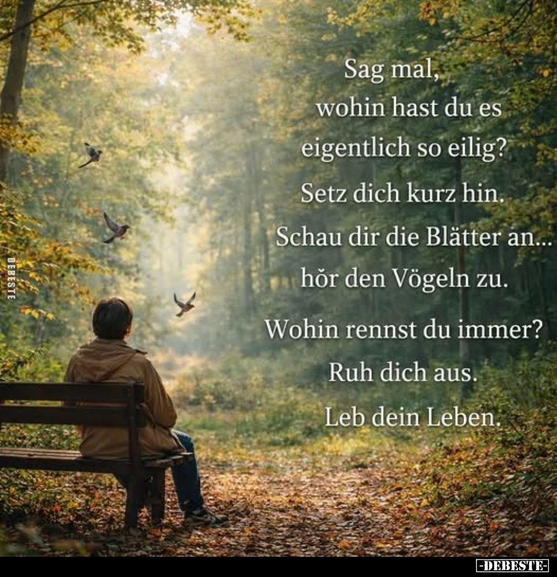 Sag mal, wohin hast du es eigentlich so eilig?.. - Lustige Bilder | DEBESTE.de